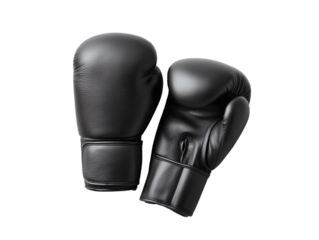 Sleek black boxing gloves isolated on white. Symbol of strength, discipline, and sport. Powerful imagery for fitness, motivation, or competition concepts.