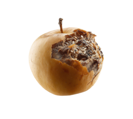 Decayed fruit filled with seeds, symbolizing the cycle of life, decay, and renewal. Could represent aging, impermanence, or unexpected growth. Studio shot.