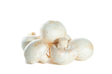 Whole fresh champignons isolated on white background.