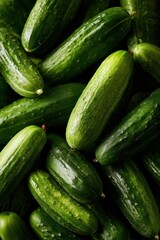 Fresh Green Cucumbers in Abundance