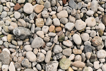Soft light over rounded coastal pebbles and stones. Pebbles offer color variety and pattern. Diverse pebble mix on beach forming visual interest. abstract natural stone backdrop, marine theme