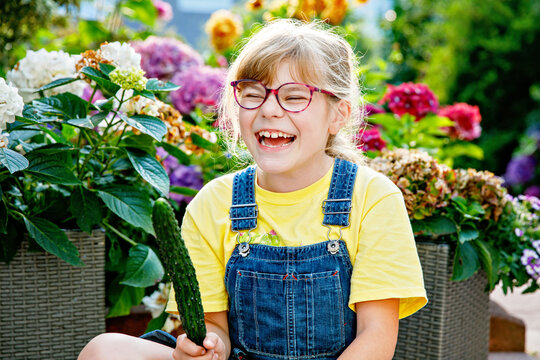 Little elementary school girl with eye glasses eating ripe fresh cucumber from the garden. Happy child enjoying healthy organic snack outdoors in summer - Powered by Adobe