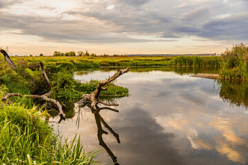 The Nida Valley. The meanders of the Nida River during the golden hour. Ponidzie. swietokrzyskie...