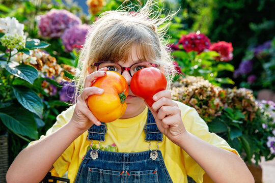 Little elementary school girl with eye glasses eating ripe fresh tomatoes from the garden. Happy child enjoying healthy organic snack outdoors in summer - Powered by Adobe