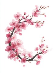 Delicate cherry blossom wreath with soft blush petals arranged for traditional Hanami celebration