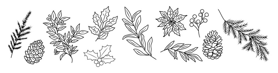 Hand drawn vector illustration of winter greenery, pine branches, holly, poinsettia, berries, and cones. Festive botanical elements for Christmas design, cards, and seasonal decorations.