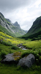 Lush green valley and stream surrounded by mountains in summer