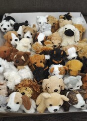 Grupo de cachorros de perro de varias razas de peluche en caja de cart&oacute;n. Caja con peque&ntilde;os mu&ntilde;ecos de perros 