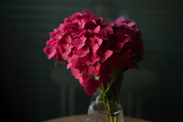 Elegant bouquet of pink hydrangea flowers in transparent glass vase placed on wooden table with dark background. Concept of still life, home decoration, and natural beauty. Minimalist floral