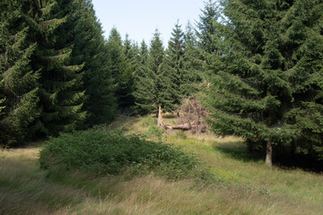 Misterious Romanian mountains