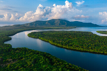 Aerial View of River Through Lush Rainforest