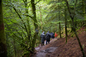 Obraz premium Groupe de randonneurs sous la pluie en Bretagne