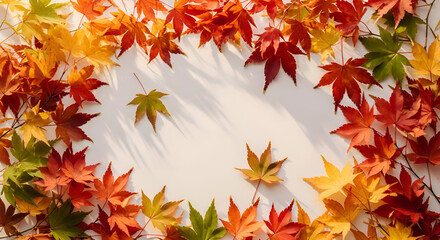 Fototapeta premium Top-down flat lay of a natural frame made from a vibrant collection of red, orange, and yellow autumn maple leaves, creating a seasonal border on a clean white background