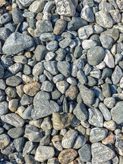 The grey pebbles background at the Norwegian sea coast