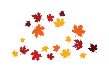 Maple leaf vector icon. Autumn symbol. Color maple leaf vector illustration. Maple leaf vector shape icon. Forest and tree symbols. Nature tree logo. Canada label. Cozy autumn decoration, party decor