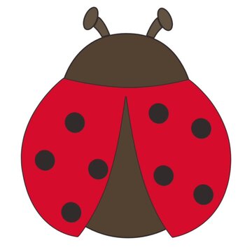 animation of an ladybug flapping its red wings, isolated on white