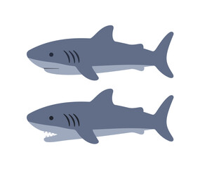 Fototapeta premium Shark vector. Symbol, fish, animal, sea
