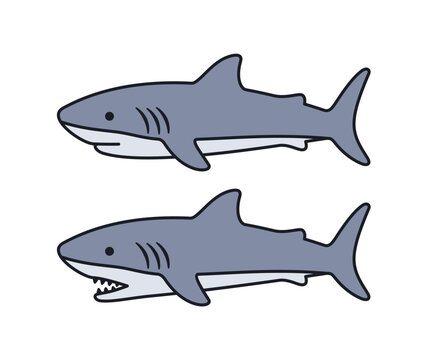Shark vector. Symbol, fish, animal, sea