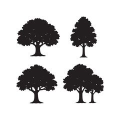Oak Tree Silhouette Natural Forest Vector