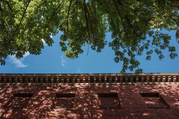 A low-angle view looking up past a red brick building facade with dappled shadows from an overhanging tree canopy. The lush green leaves are silhouetted against a bright blue summer sky.

