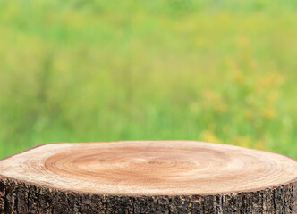 Tree trunk wood Podium display for food and products on nature background.