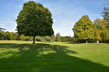 Grand parc au coucher du soleil