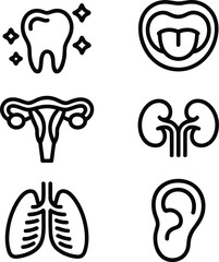 Obraz premium Medical Iconography Featuring Human Anatomy Teeth Tongue and Uterus Kidneys Lungs and Ears Showcasing Healthcare Body Parts