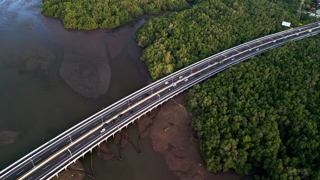 The Bali Mandara Toll road bridge rises over green mangrove forest and low tide mud areas as drone footage shows tropical contrast of wetland nature and human built coastal highway