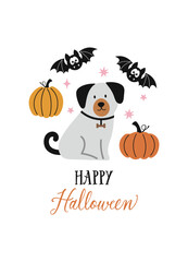 Happy Halloween vector quote. Halloween card. Cute dog, pumpkins and bats on white background. Dog print in flat style.