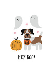 Hey boo vector quote. Happy Halloween card. Cute dog, pumpkin and ghosts on white background. Dog print in flat style.