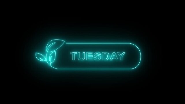 Glowing neon lines Tuesday text animation on black background. Neon Tuesday  neon sign animation. Ideal for Weekday Calendar Icons, i Phone Themes and Digital Graphics. 4k video animation.