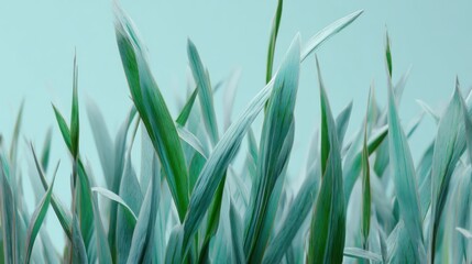 Fototapeta premium Close up vibrant teal green leaves