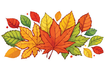 autumn leaves isolated on white