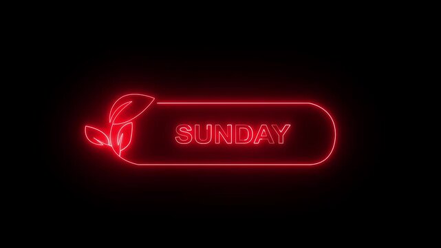 Glowing neon lines sunday text animation on black background. Neon sunday neon sign animation. Ideal for Weekday Calendar Icons, i Phone Themes and Digital Graphics. 4k video animation.