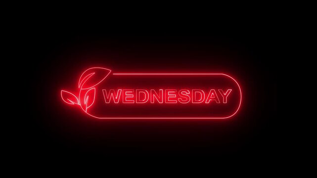 Glowing neon lines sunday text animation on black background. Neon sunday neon sign animation. Ideal for Weekday Calendar Icons, i Phone Themes and Digital Graphics. 4k video animation.
