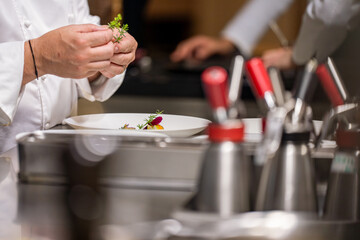 Fototapeta premium Gros plan sur les mains d’un chef étoilé en train de finaliser le dressage d’un plat gastronomique dans sa cuisine.