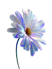 White Daisy with Neon Glowing Edges on Transparent Background