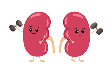 Cute kidney with dumbbells cartoon character in flat design on white background. Healthy kidney concept vector illustration