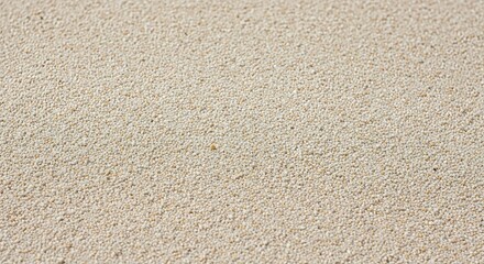 Fototapeta premium Close up of Tiny Seeds for Bird Feeding or Healthy Food