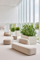 minimalist smart home featuring large that flood space with ultrabright morning light