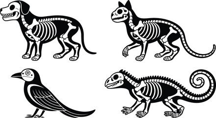 Four skeletons of animals including dog cat bird and lizard