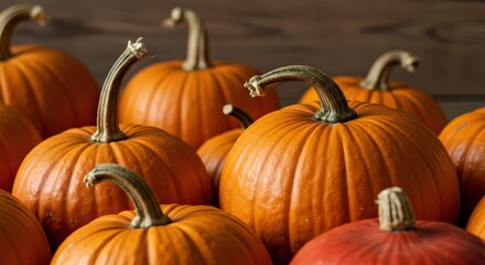 Autumn Pumpkins Harvest