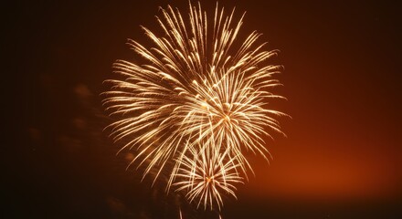 Golden Fireworks Display