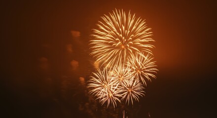 Fototapeta premium Golden Fireworks Display