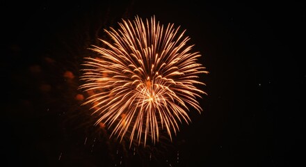 Fototapeta premium Golden Fireworks Display