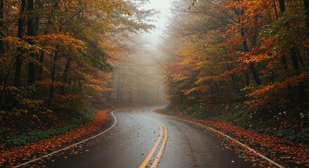 Autumn Road in Fog