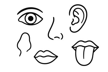 Illustrated facial features - eye, nose, ear, mouth, and tongue line art