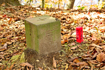 天子山地の中ノ倉山山頂　三等三角点（中ノ倉）

