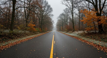 Fototapeta premium Foggy Autumn Road
