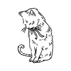 grayscale feline with ribbon sketch